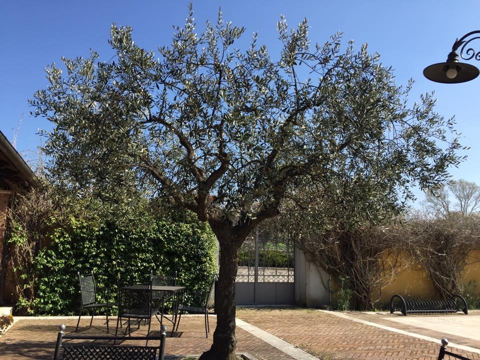 Agriturismo Macchiacupa Ariano Irpino Bagian luar foto